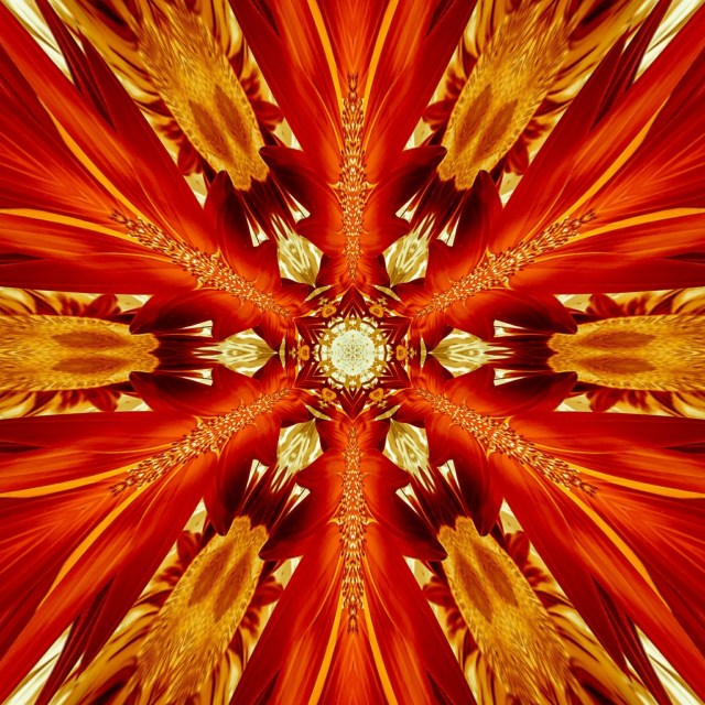 Kaleidoscopic Sunflower