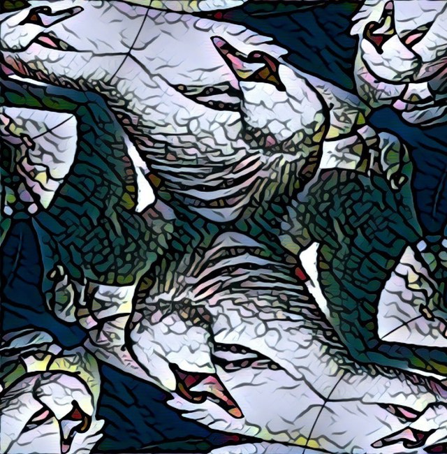 Six ways to see a swan
