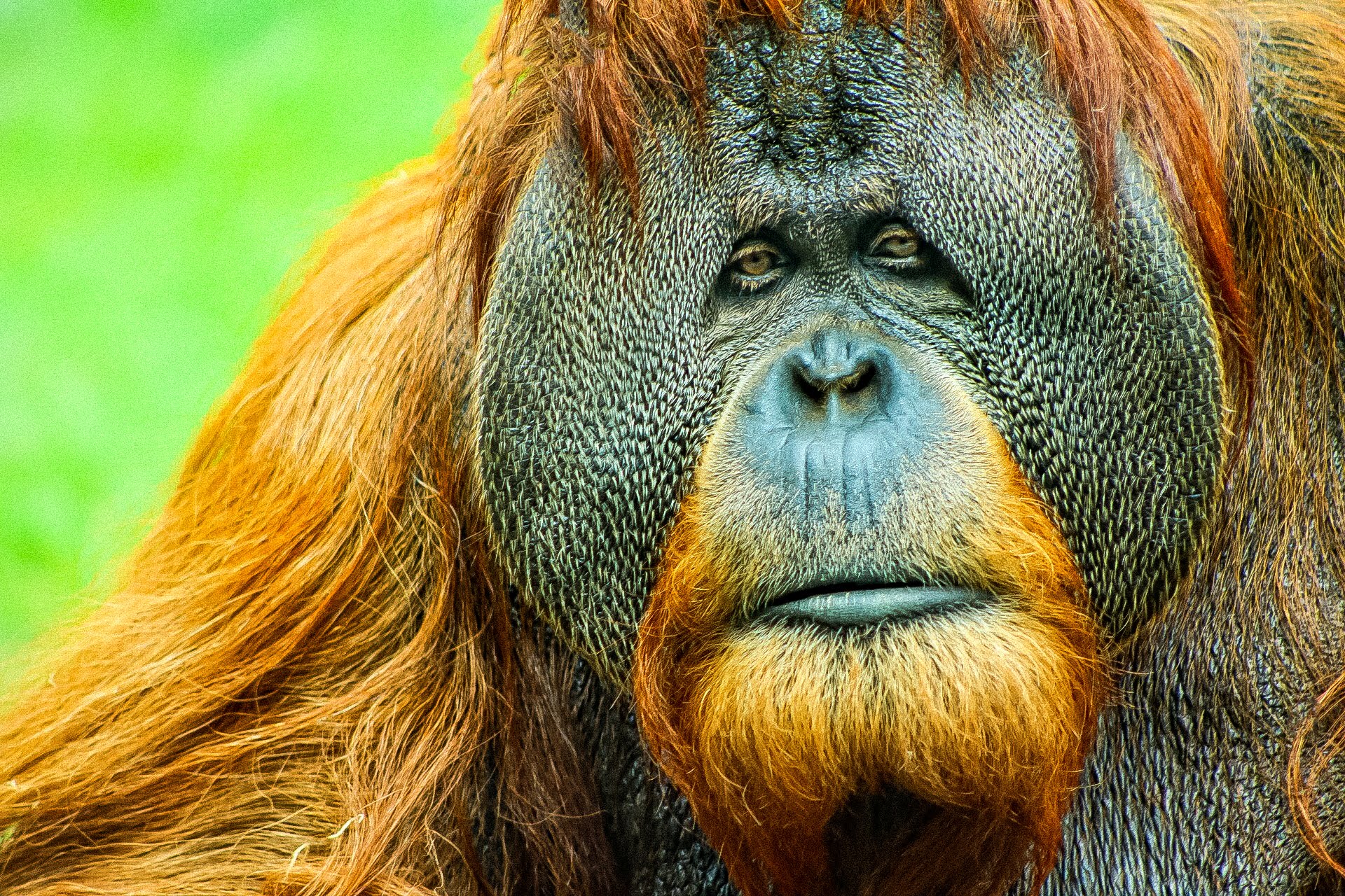 Photo by Alexander Ivy