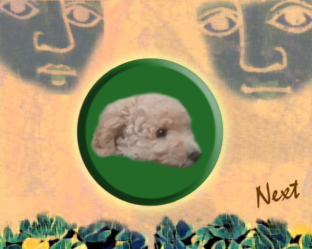 Remembering Mop 2018